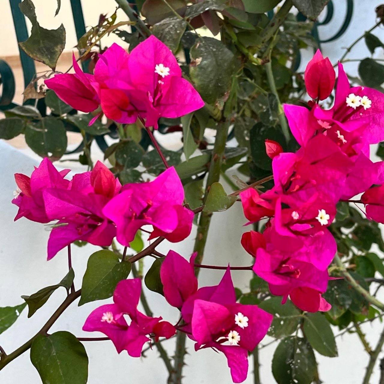 אגריג'נטו Relax Natura מראה חיצוני תמונה